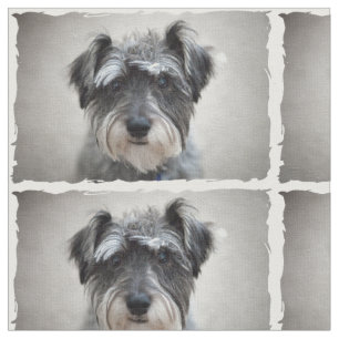 Schnauzer Hund Tyg