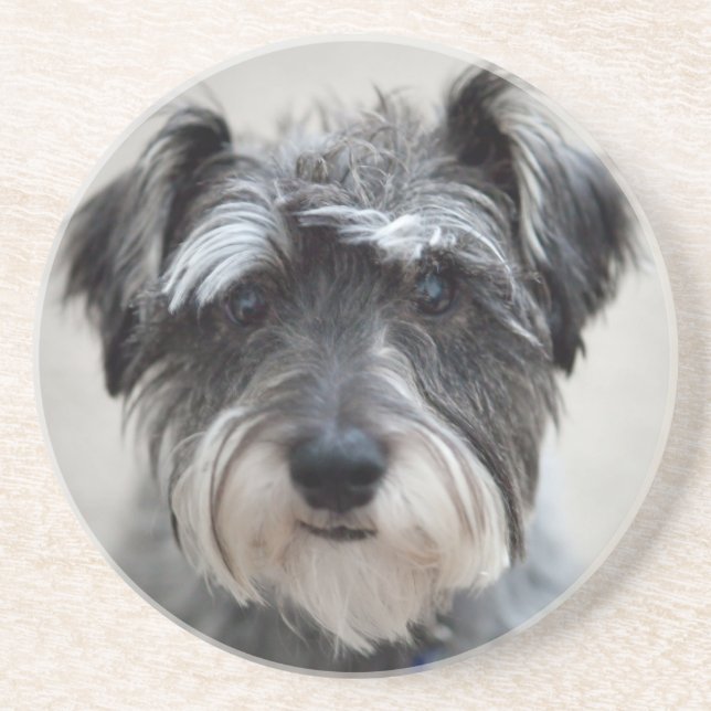 Schnauzer Hund Underlägg (Framsidan)