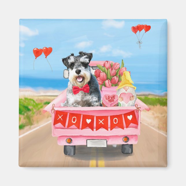Schnauzer Hund Valentine Day Lastbil Hearts Magnet (Framsidan)