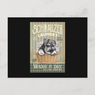 Schnauzer Hund Vykort