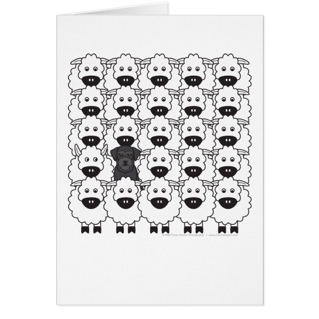 Schnauzer i fåren hälsningskort (Framsidan)