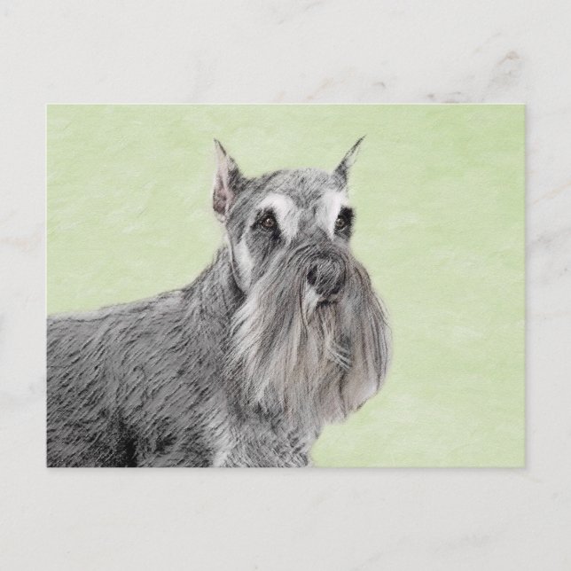 Schnauzer (jätte, standard) målning - hundkonst vykort (Framsida)