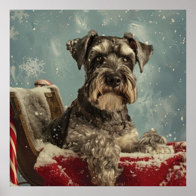 Schnauzer Julfirande Hund Poster (Framsidan)