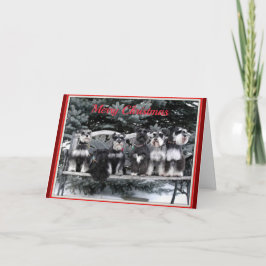 Schnauzer-julkort Helgkort