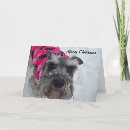 Schnauzer-julkort Helgkort