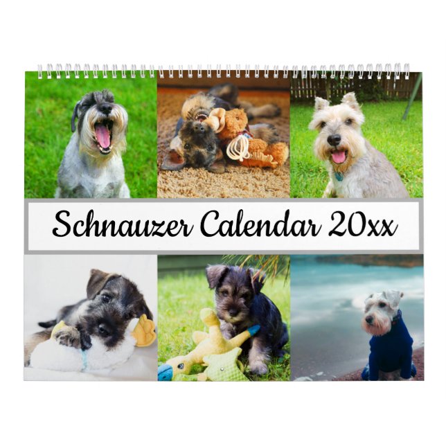 Schnauzer Kalender (Omslag)