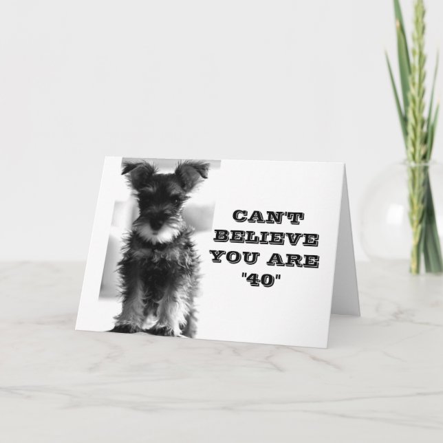 SCHNAUZER KAN INTE ANSE ATT DU ÄR **40* BIRTHDAY KORT (Framsida)