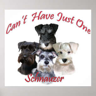 Schnauzer kan inte bara ha en utskrift poster