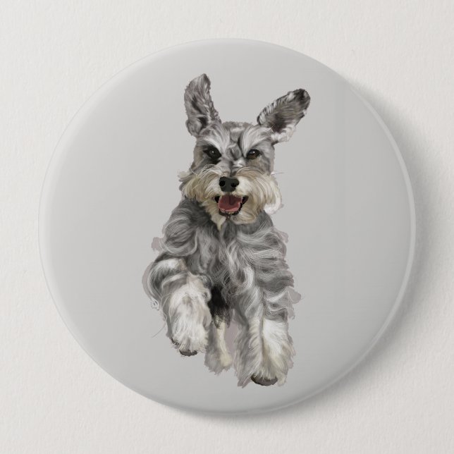 Schnauzer Knapp (Framsida)