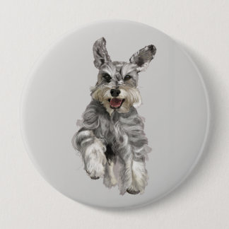 Schnauzer Knapp
