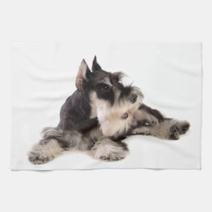 SCHNAUZER KÖKSHANDDUK