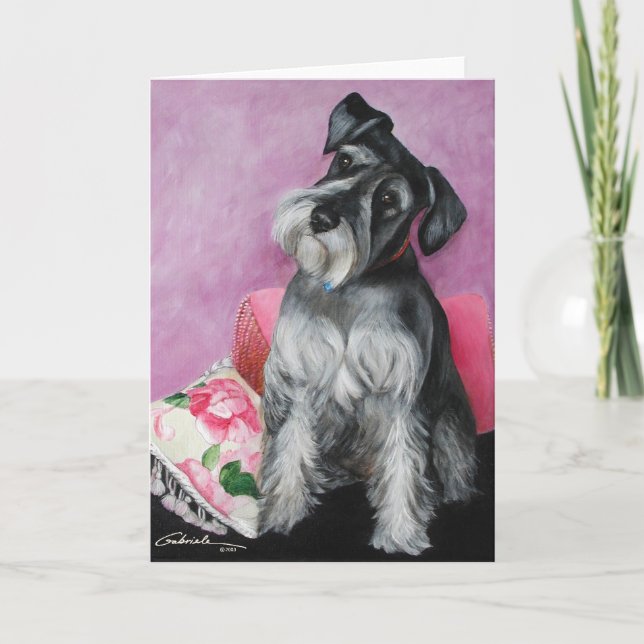 Schnauzer Kort (Framsida)