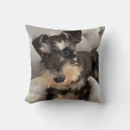 Schnauzer Kuddinkast Kudde