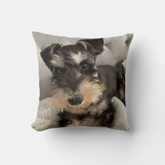 Schnauzer Kuddinkast Kudde