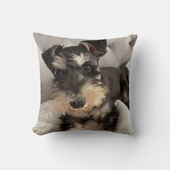 Schnauzer Kuddinkast Kudde (Framsida)
