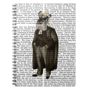 Schnauzer Lawyer Anteckningsbok