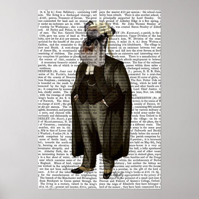 Schnauzer Lawyer Poster (Framsidan)