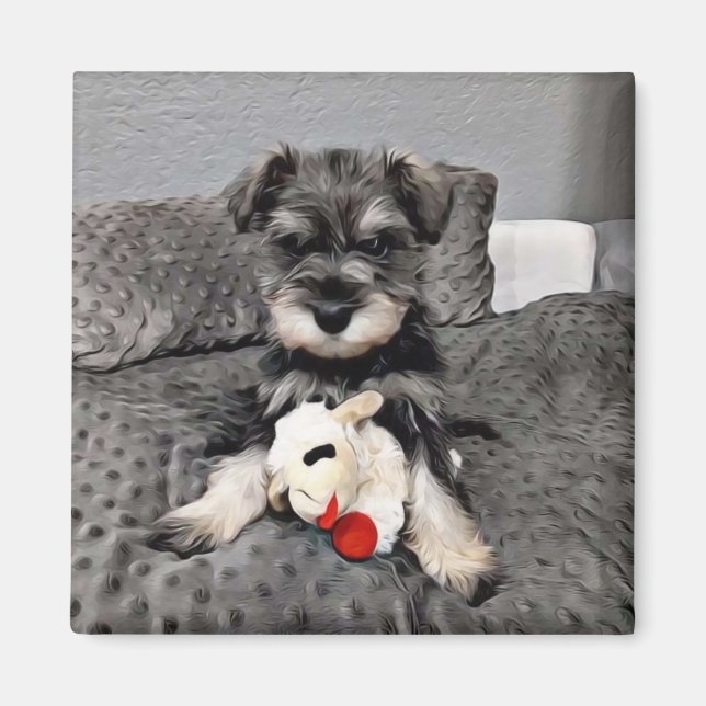 Schnauzer magnet (Framsidan)