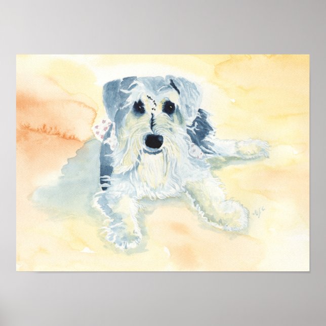 Schnauzer Mia Poster (Framsidan)