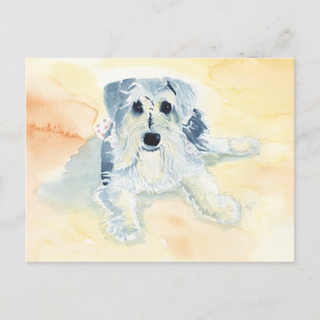 Schnauzer Mia Vykort (Framsida)