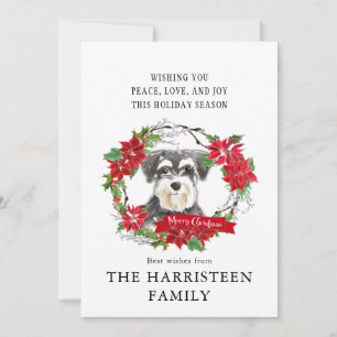 Schnauzer Mini Watercolor Poinsettia jul Julkort
