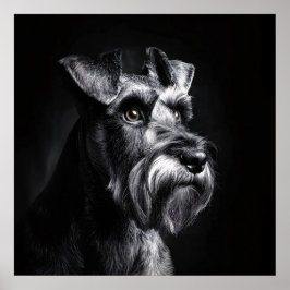Schnauzer Monochrome Portrait Poster