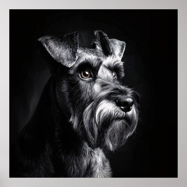 Schnauzer Monochrome Portrait Poster (Framsidan)