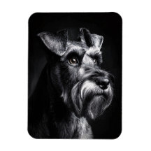 Schnauzer Monokrom Porträtt Flexibel