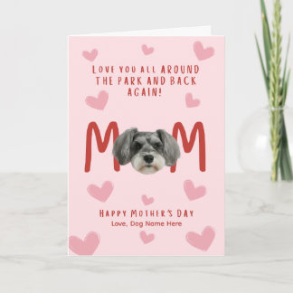 schnauzer Morsdagskort Kort