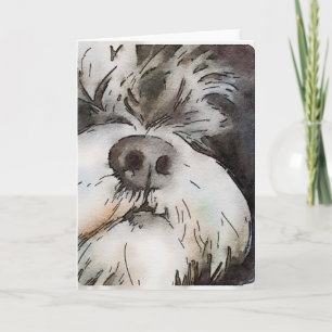 Schnauzer Note-kort Anteckningskort