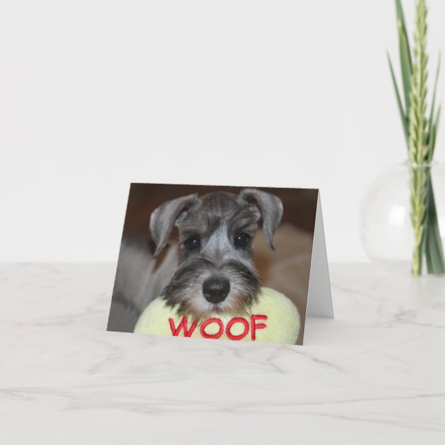 Schnauzer Notecards Kort (Framsida)
