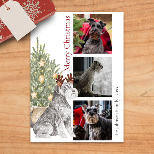 Schnauzer och Julgran Pet Hund Photo Julkort