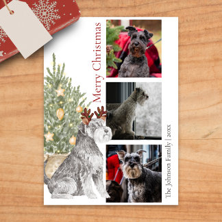 Schnauzer och Julgran Pet Hund Photo Julkort