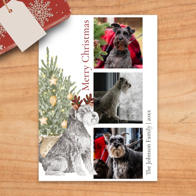 Schnauzer och Julgran Pet Hund Photo Julkort (Skapare uppladdad)