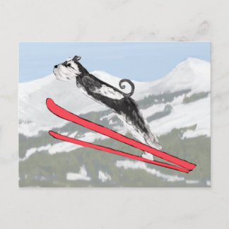 Schnauzer på Skis! Vykort
