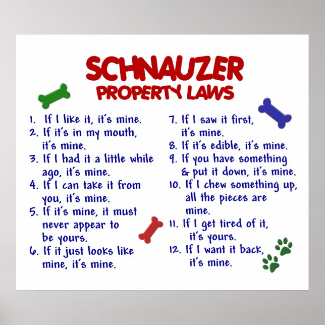 SCHNAUZER PL2 POSTER (Framsidan)