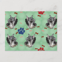 Schnauzer Porträtt Vykort
