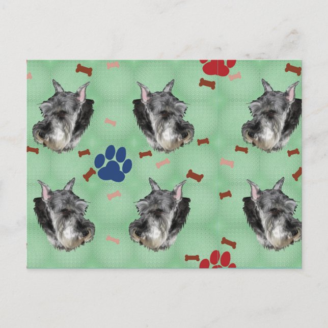 Schnauzer Porträtt Vykort (Framsida)