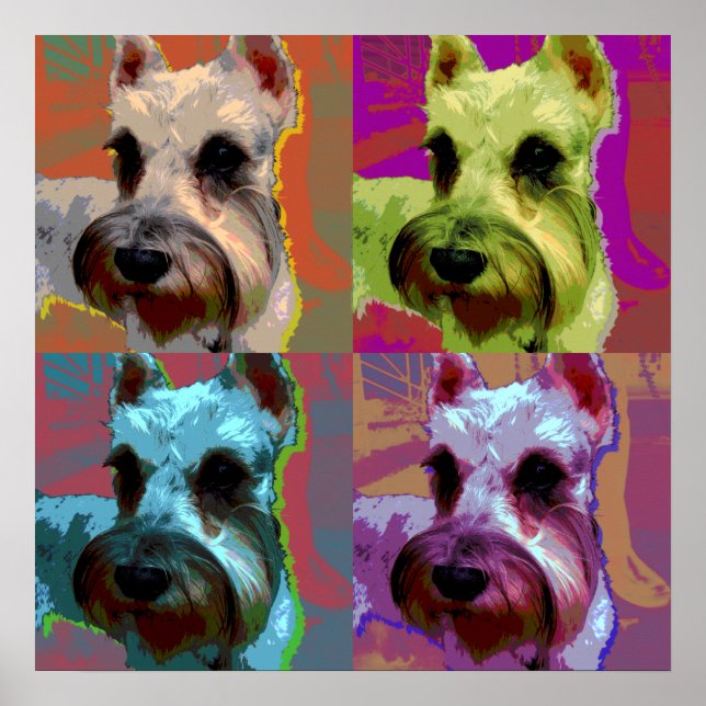 Schnauzer poster (Framsidan)
