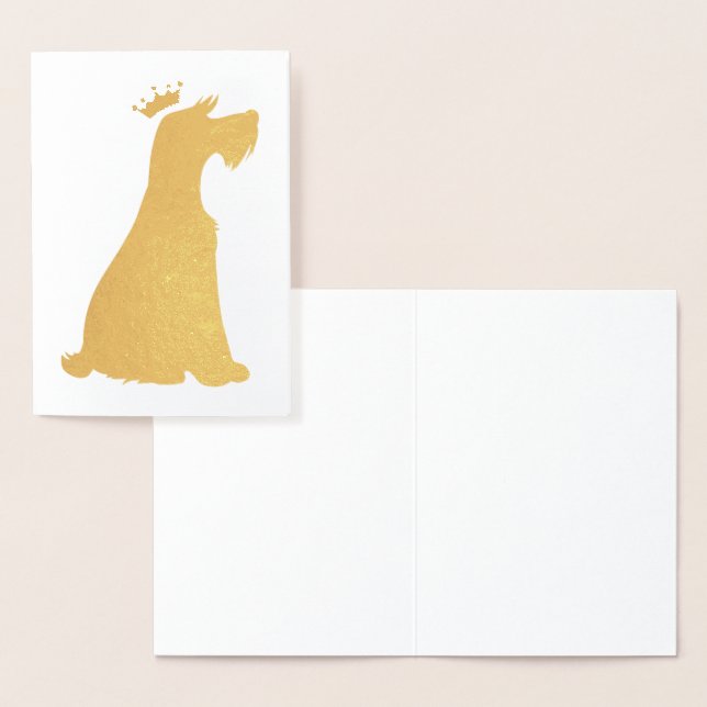 Schnauzer Prince Folierat Kort (Display)