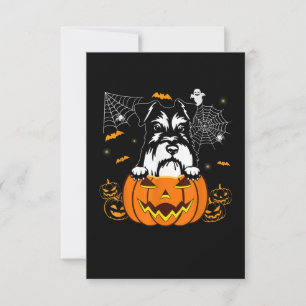 Schnauzer Pumpkin Halloween Costume Hund älskare OSA Kort