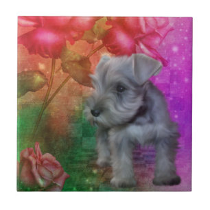 Schnauzer Puppy Hund Animal Art Kakelplatta