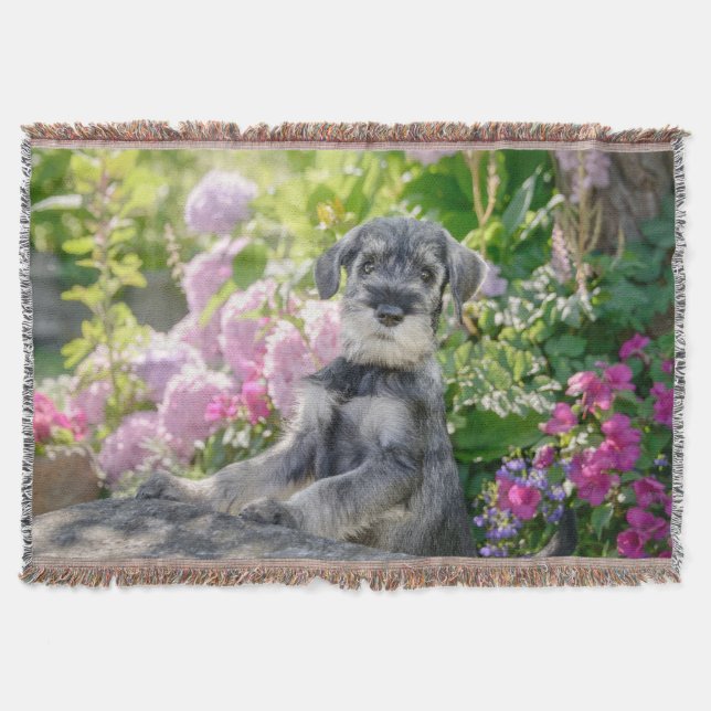 Schnauzer Puppy i Blommar Garden - Filt (Framsidan)