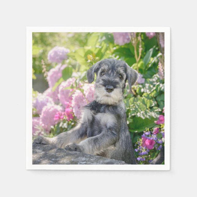 Schnauzer Puppy i Blommar Garden - Pappersservett (Framsidan)