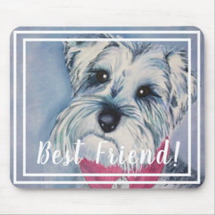 Schnauzer Puppy Musmatta