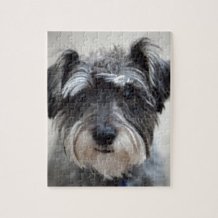 Schnauzer Pussel