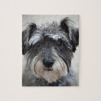 Schnauzer Pussel