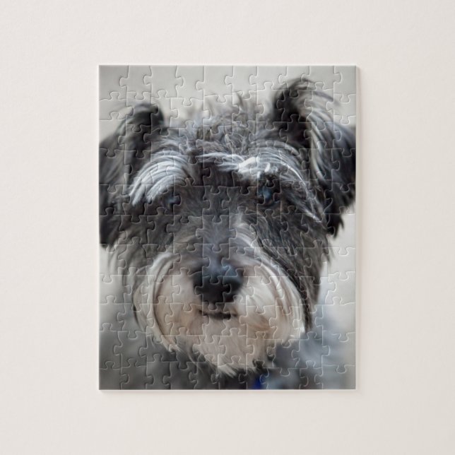 Schnauzer Pussel (Vertikal)