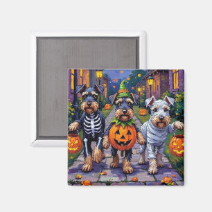 Schnauzer som söker godis på Halloween Magnet