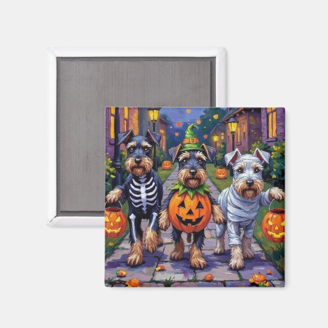 Schnauzer som söker godis på Halloween Magnet (Front/Back)